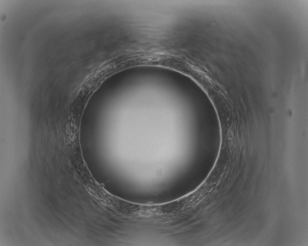 X0000084051447200702161455