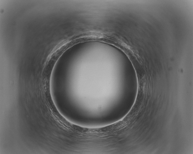 X0000084051448200702161455