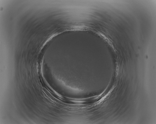 X0000084051449200702161455