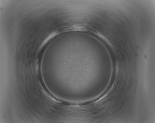 X0000084051450200702161455