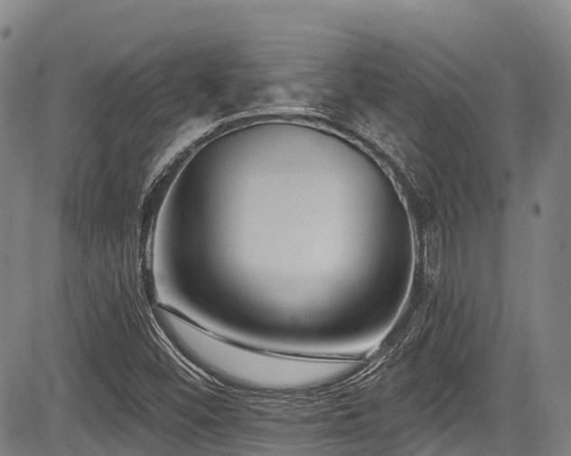 X0000084051452200702161455