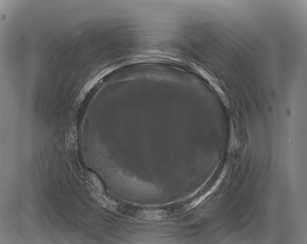 X0000084051453200702161455