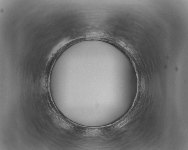 X0000084051454200702161455