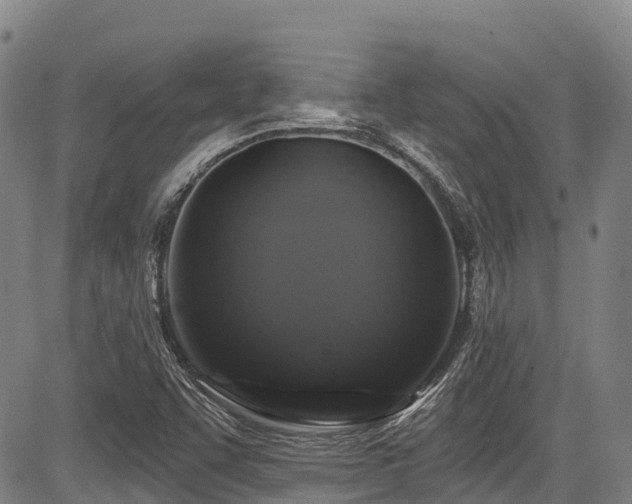 X0000084051455200702161455