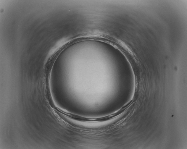 X0000084051456200702161455