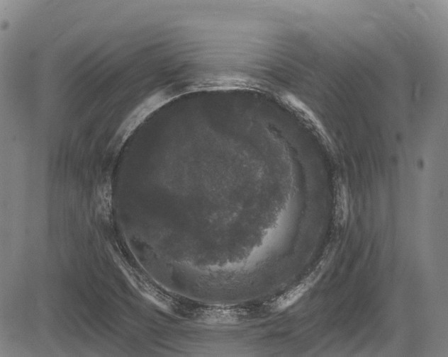 X0000084051457200702161455