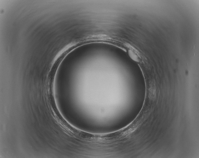 X0000084051458200702161455