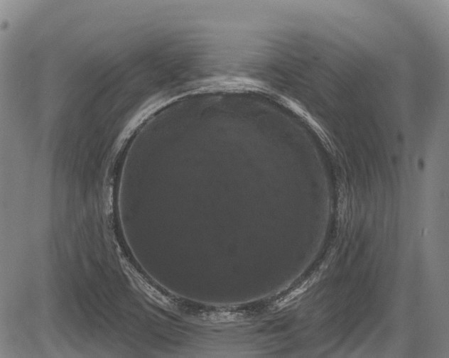 X0000084051459200702161455