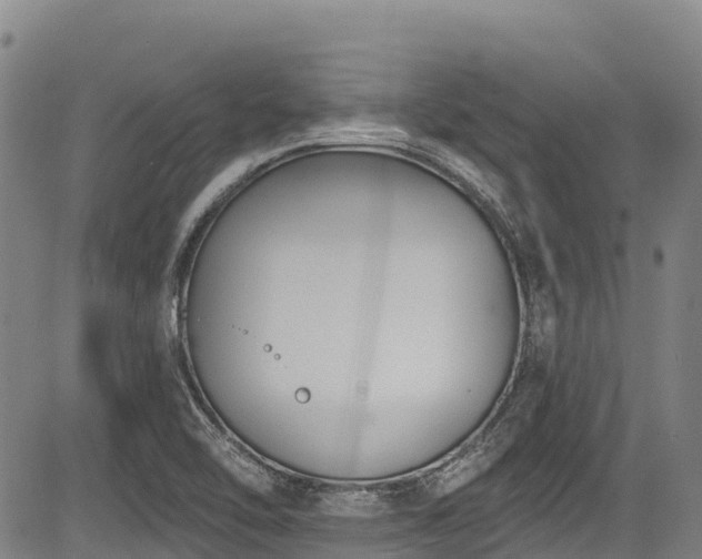 X0000084051462200702161455