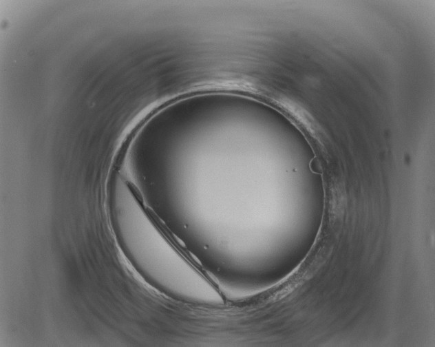 X0000084051468200702161455