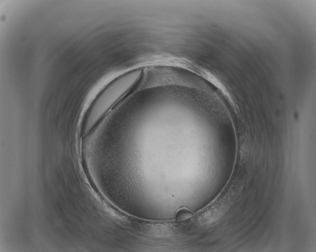 X0000084051472200702161454