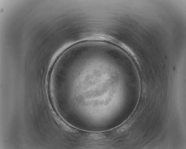 X0000084051480200702161454