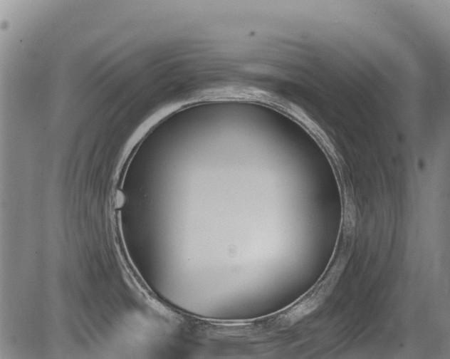 X0000084051486200702161454