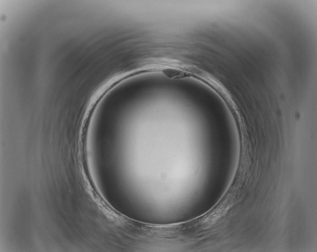 X0000084051488200702161454