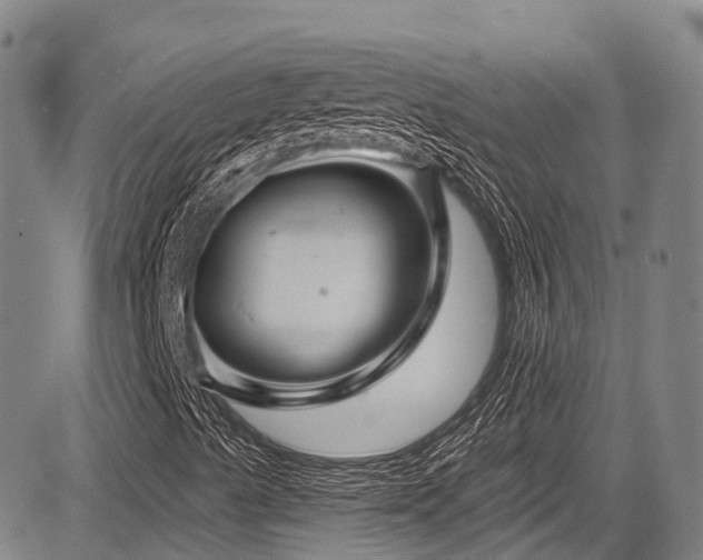 X0000084051489200702161453