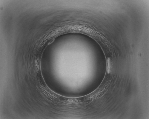 X0000084051491200702161453