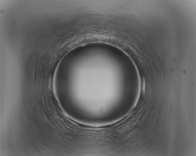 X0000084051492200702161453