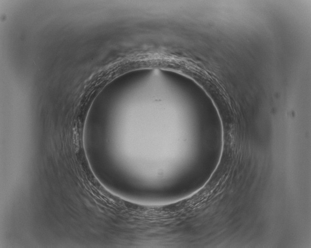 X0000084051493200702161453