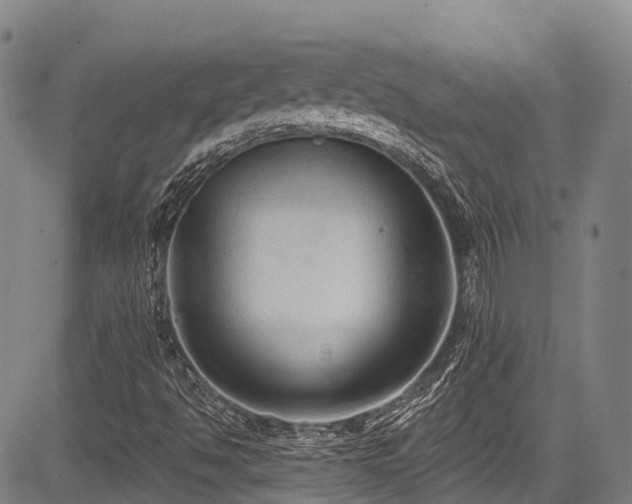 X0000084051494200702161453