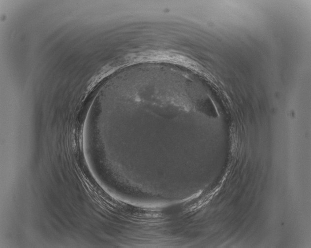 X0000084051497200702161454