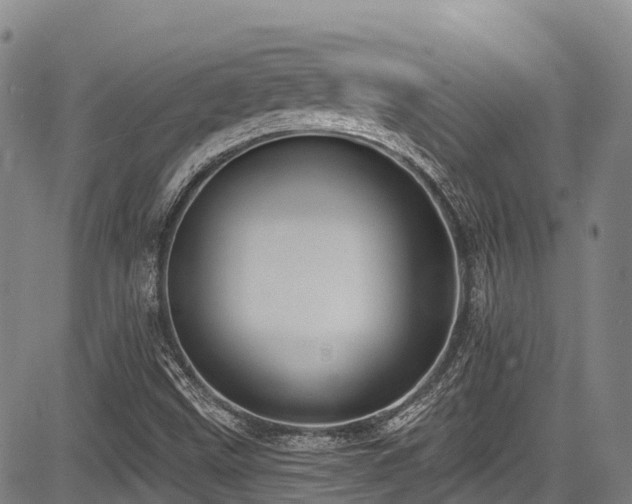 X0000084051499200702161454