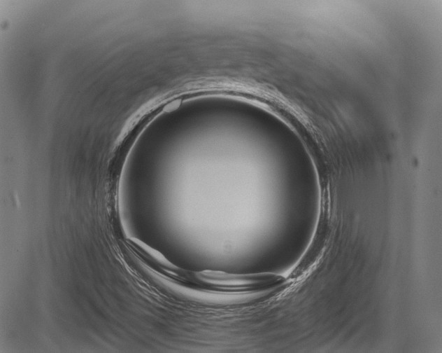 X0000084051501200702161454