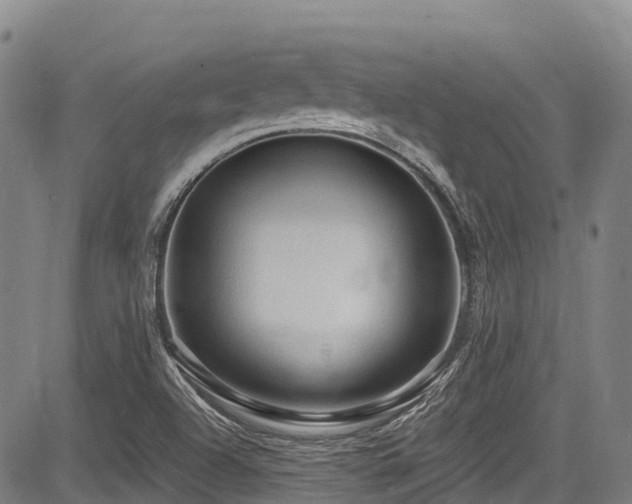 X0000084051504200702161454