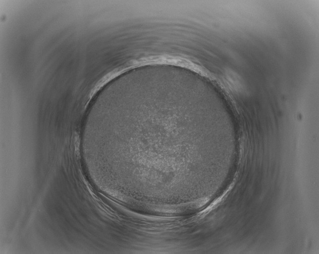 X0000084051505200702161454