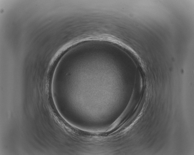 X0000084051506200702161454