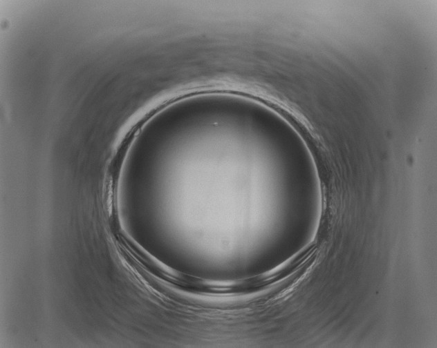 X0000084051510200702161454