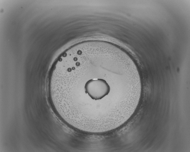 X0000084051514200702161454