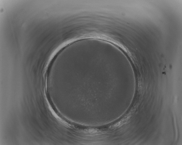 X0000084051515200702161454