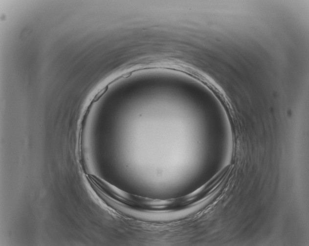 X0000084051528200702161454