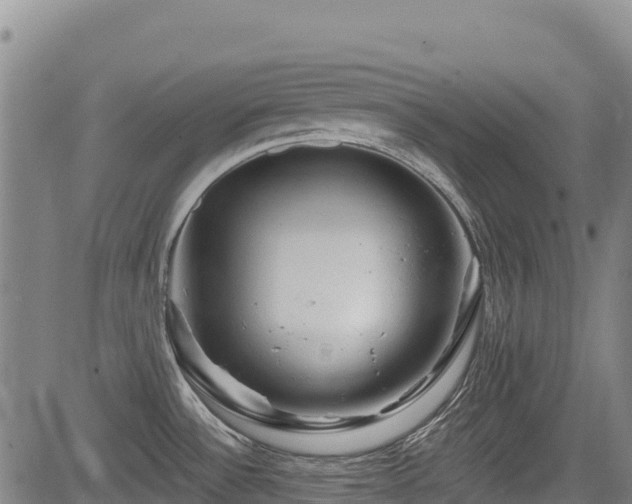 X0000084051532200702161454