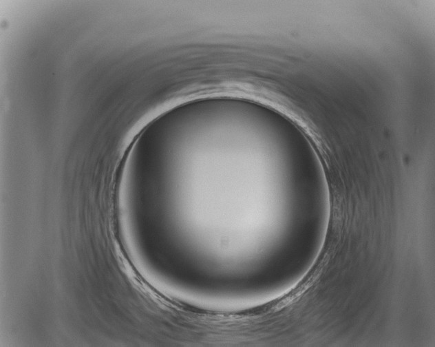 X0000084051534200702161454