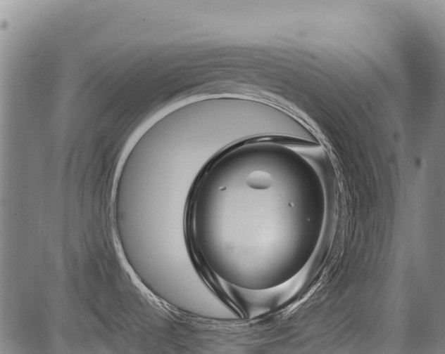 X0000084051536200702161454