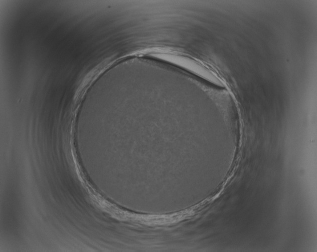 X0000084050001200702240004