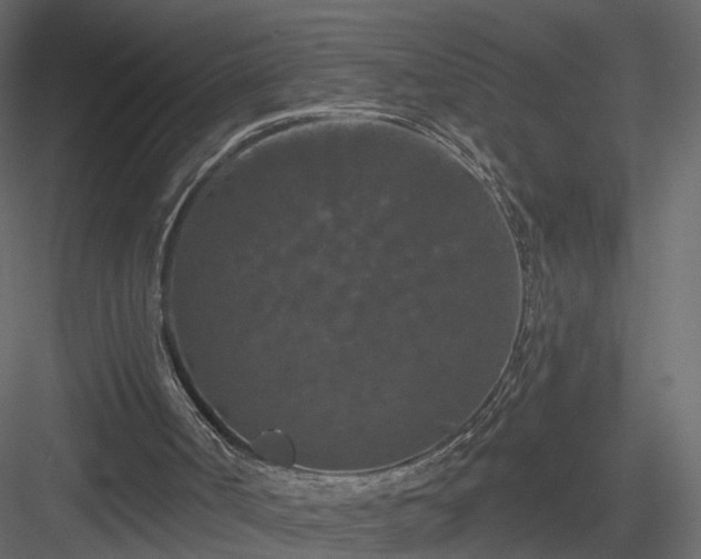 X0000084050002200702240004