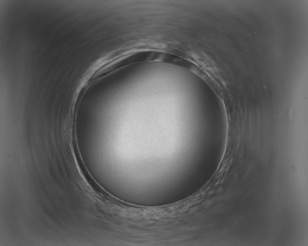 X0000084050003200702240004