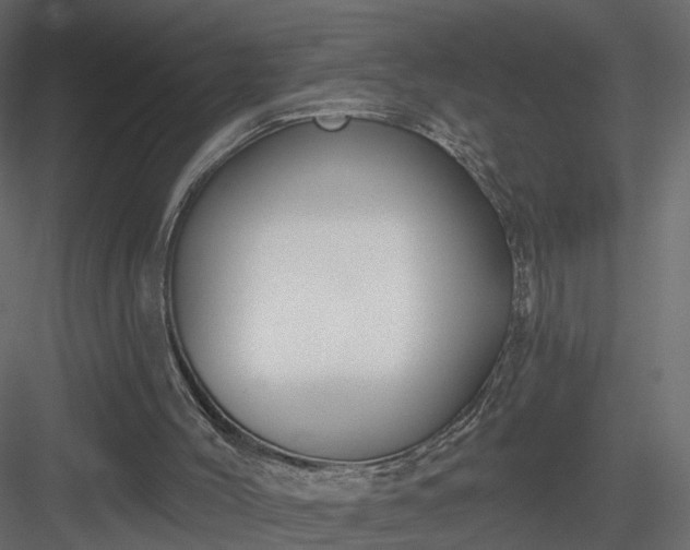 X0000084050004200702240004