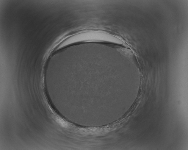 X0000084050005200702240004