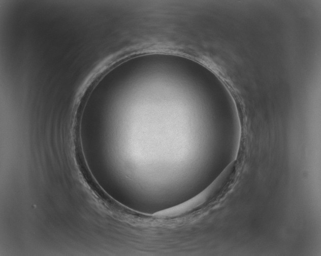 X0000084050007200702240004