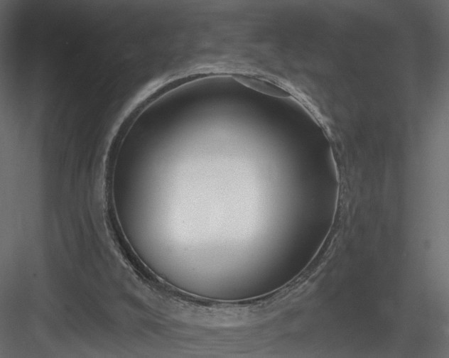 X0000084050008200702240004