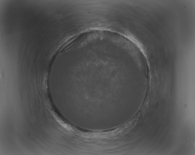 X0000084050009200702240004