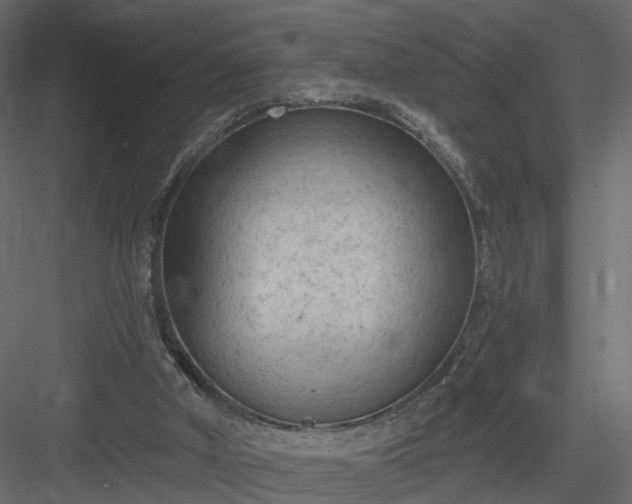 X0000084050010200702240004