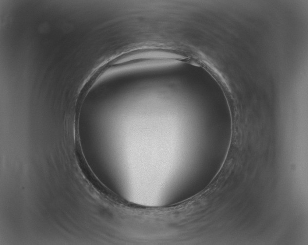 X0000084050011200702240004