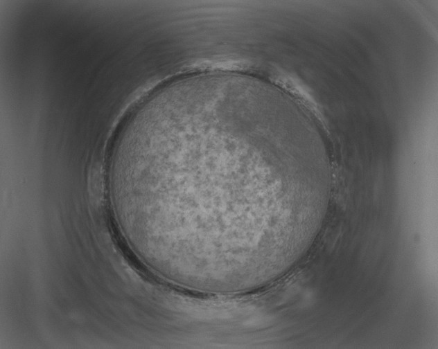 X0000084050012200702240004