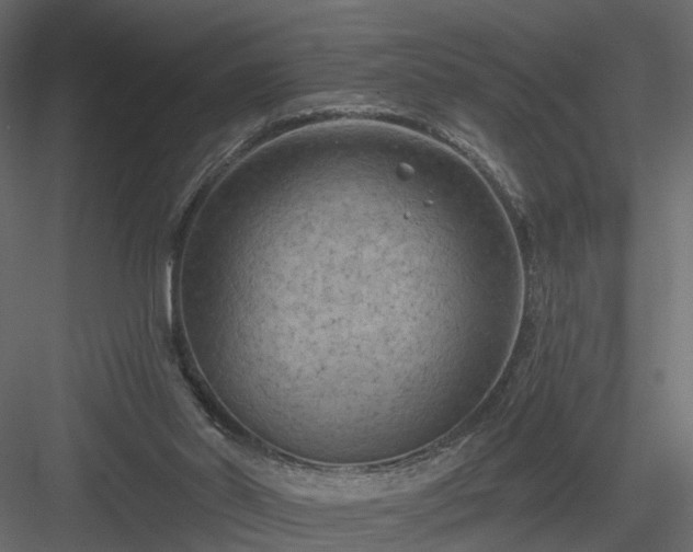 X0000084050014200702240004