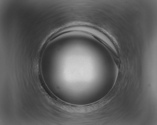 X0000084050015200702240004