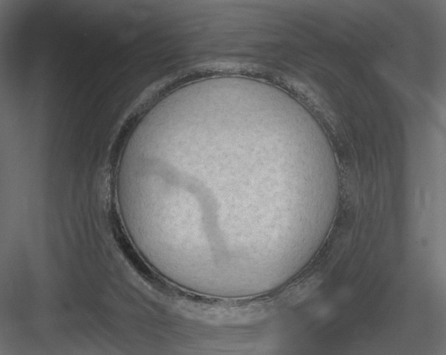 X0000084050016200702240004